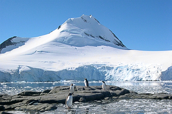 antarctica cruise rei classic