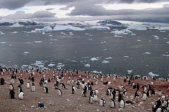 In Antarctica, everything is extreme. It is the most remote and least-known continent on earth.