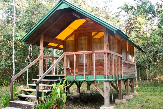The Tropical Education Center, where we spend our first two nights, is settled upon 29 acres of tropical savanna and showcases over 125 animals native to Belize.