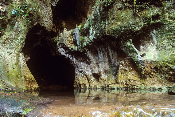 We'll use inner tubes to embark on an enjoyable 2-hour float through a limestone cave rich with stalactite and stalagmite formations.