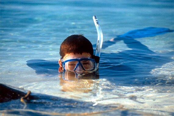We'll explore just a fraction of the 700 snorkel sites that Glover's Atoll has to offer.