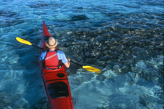 Due to its isolation from the mainland, Lighthouse Reef Atoll offers exceptionally clear water with a fabulously rich reef system for us to explore.
