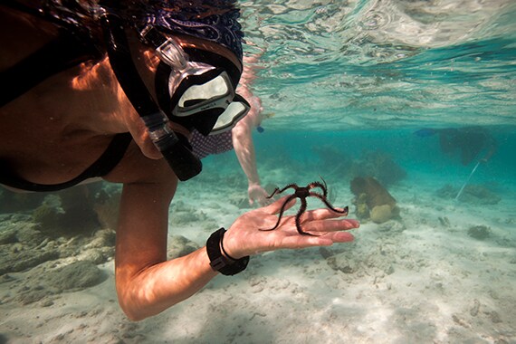 Glover's Atoll, with an unparalleled diversity and abundance of marine life, offers some of the best snorkeling in Belize.