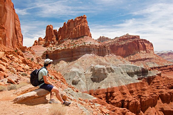 We learn from our knowledgeable guides how this incredible landscape was formed as we hike through the Waterpocket Fold, a 100-mile-long warp in the Earth's crust.