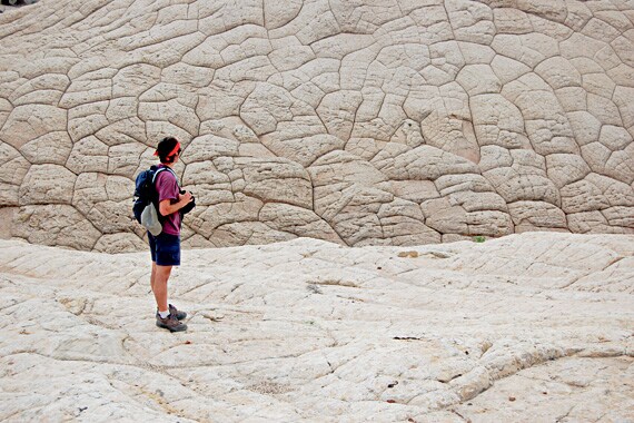 This odd erosional formation is called "biscuit weathering."