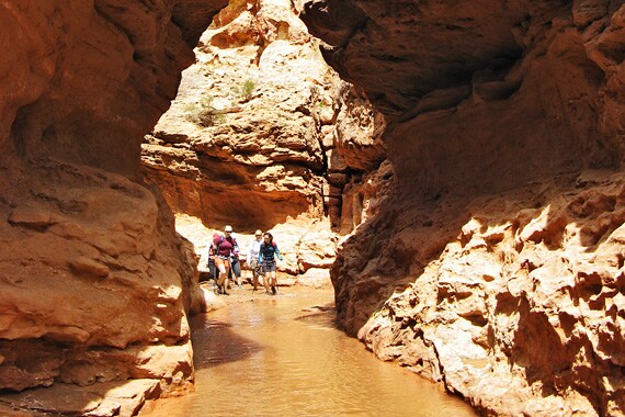 We take an exhilarating hike through the narrows of Sulphur Creek, wading in the cool, shallow water beneath multihued cliffs towering 1,000 feet above.