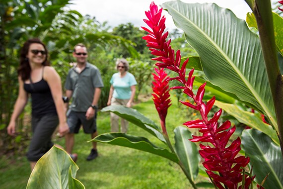 More than 25% the nation's land is protected, resulting in a biological and zoological paradise.