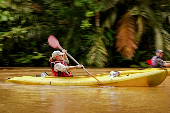 On our extension to Manuel Antonio, paddle through the country's most diverse national park.