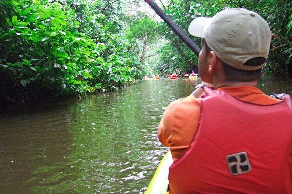 The calm water of the Rio Suerte river is perfect for bird and animal spotting while paddling.