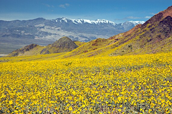 Encompassing over 3 million acres, Death Valley National Park is a hiker's wonderland waiting to be explored!