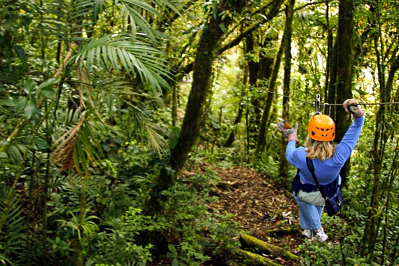 We fly above the treetops on cabled zip-lines. It's a thrilling ride ...