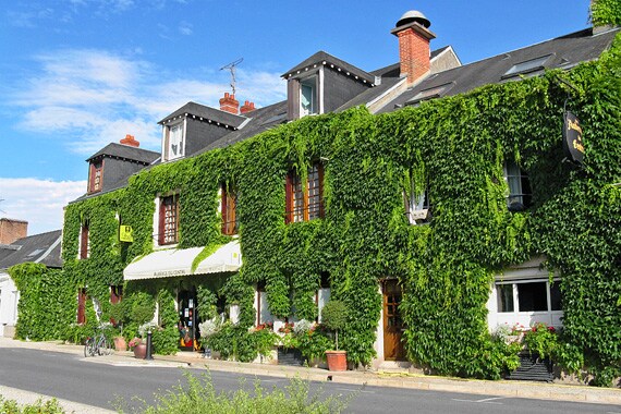 We spend each night in a unique local inn or hotel characteristic of the region and ideally situated along our lovely route.