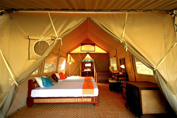 We'll settle into our luxury tent camp on the River Kwai for two nights. All the tents are air conditioned and have their own bathrooms.