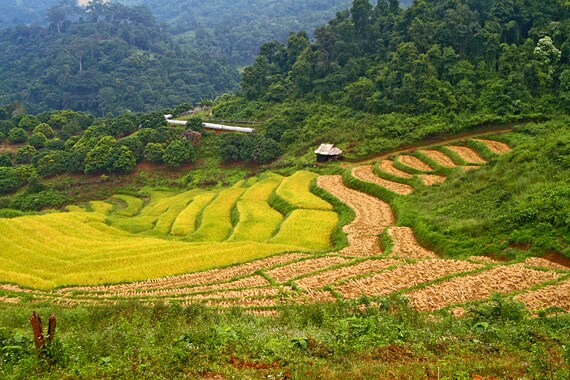 An easy hike into Doi Inthanon National Park allows us to interact with some local hill tribe villagers and splash around in more waterfalls!
