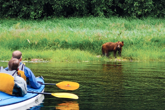 Kayaking allows you to view both the wildlife and the natural wonders