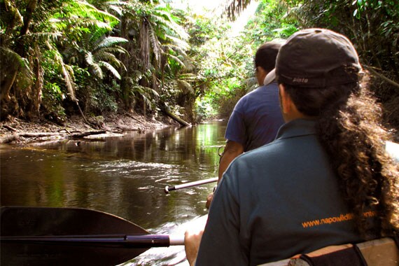 Traveling to our lodge, we see wildlife all along the way!