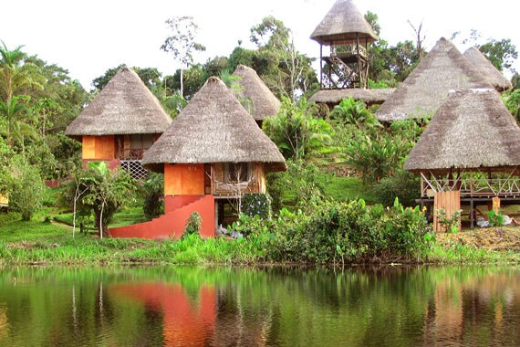 The proceeds from Napo Wildlife Center and lodge go directly toward the conservation of 82 square miles of pristine lowland rainforest.