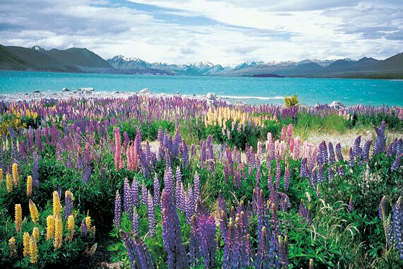 New Zealand's Southern Alps provide a wild, rugged backdrop for the true adventurer.