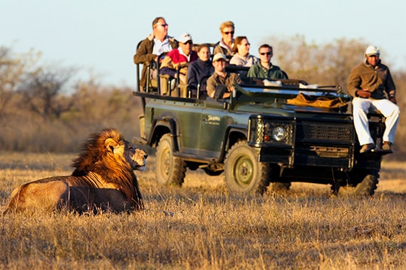 Our three-day safari near Kruger National Park offers fantastic wildlife viewing opportunities.
