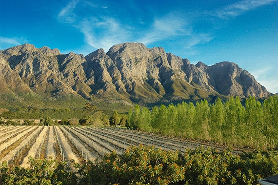 The picturesque Cape Winelands are a perfect setting for a day of cycling and wine-tasting.