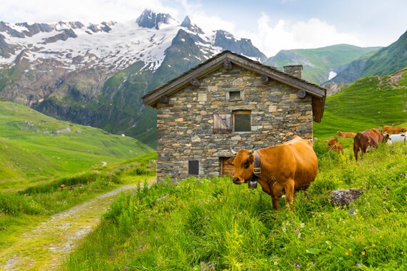 The Tour du Mont Blanc, one of the classic hikes of the world, is the perfect mix of awe-inspiring mountain views and the vibrant influence of three distinct European cultures.