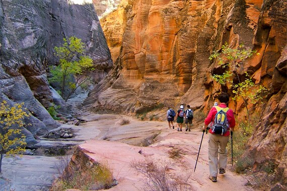 View from Observation Point along Zion Canyon, with Angels Landing below