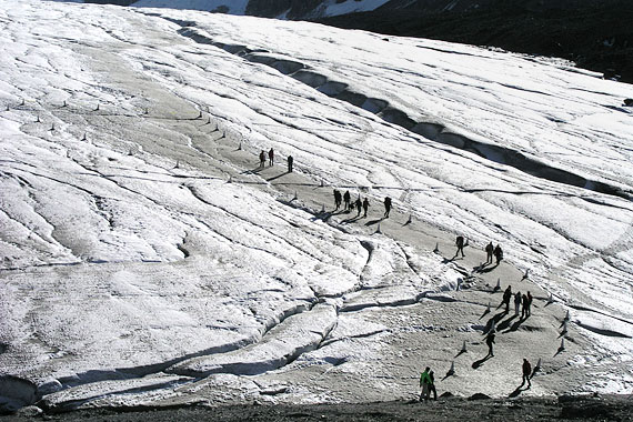 Learn everything you've ever wanted to know about glaciers on a short hike onto the massive Athabasca Glacier.