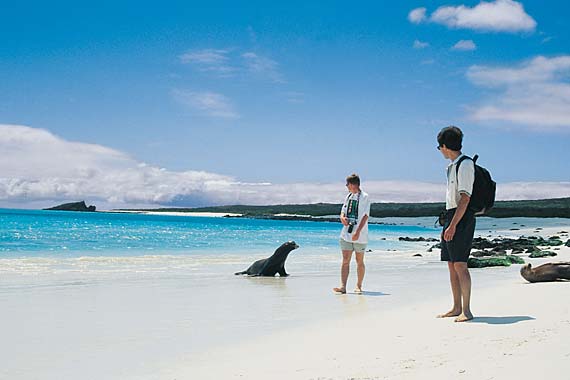 The Galapagos Islands offer the opportunity to get up close to the extraordinary.