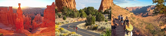 America's most iconic landscape--the Southwest US.