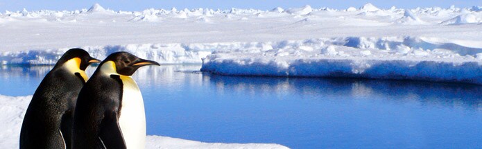 Truly the last frontiers, Antarctica and the Arctic are destinations few adventurers reach.