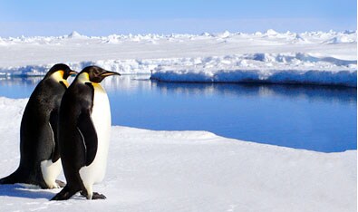 Antarctica Cruise: Icebreaker Adventures