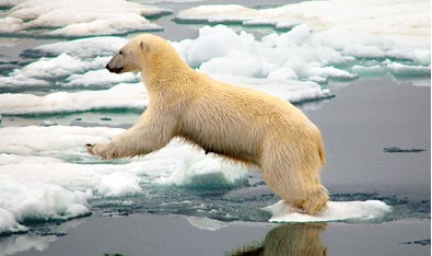 Arctic Cruise: The North Pole Arctic Cruise: The North Pole