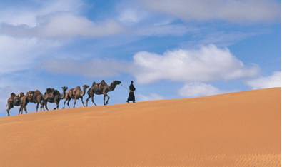 Mongolia Multisport: Through the Land of Nomads
