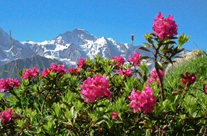 Switzerland Hiking: Eiger to The Matterhorn Switzerland Hiking: Eiger to The Matterhorn