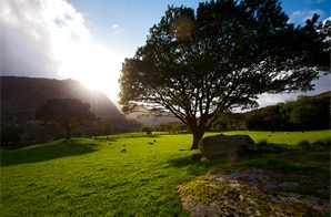 Ireland Coast to Coast Hiking