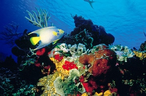 Belize Paradise Islands Kayaking