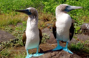 Galapagos Islands Lodge to Lodge