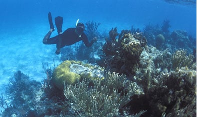 Lighthouse Reef Kayaking