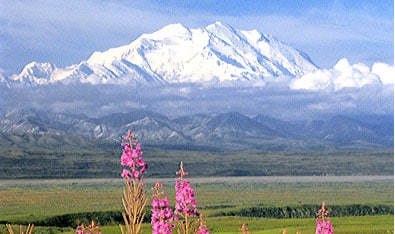 Denali & Prince William Sound Denali & Prince William Sound
