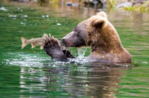 Alaska's Inside Passage and Glacier Bay Alaska's Inside Passage and Glacier Bay