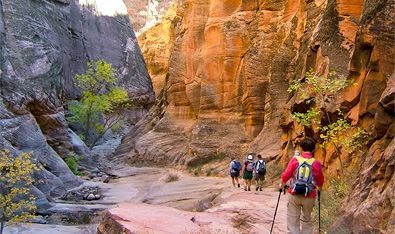 Zion  Bryce Canyon Hiking  Upscale Camping | Travel with REI