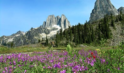 Canadian Mountain Holidays Heli-Hiking Canadian Mountain Holidays Heli-Hiking