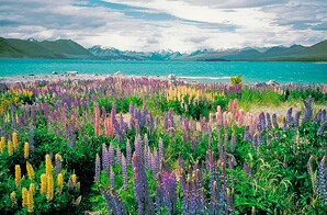 Discover New Zealand