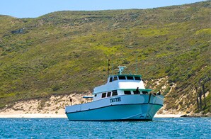 Channel Islands Adventure