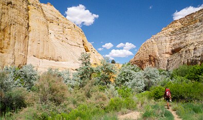 Escalante Backpacking