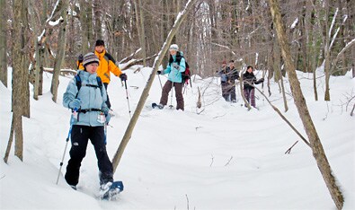 Lake Superior Snowshoeing
