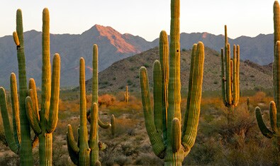 Superstition Mountains Backpacking