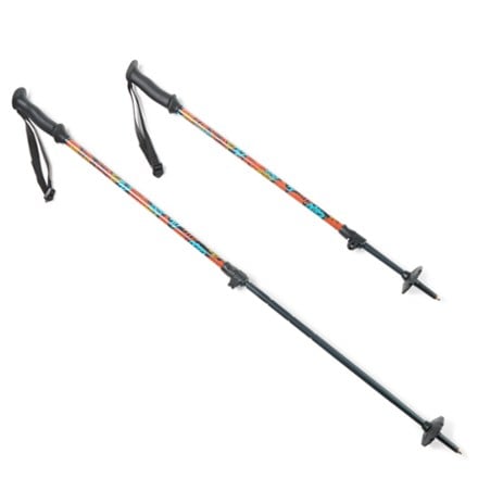 REI Co-op Tarn Trekking Poles - Pair - Kids' 0