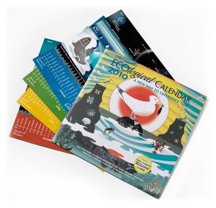 Product Image of color