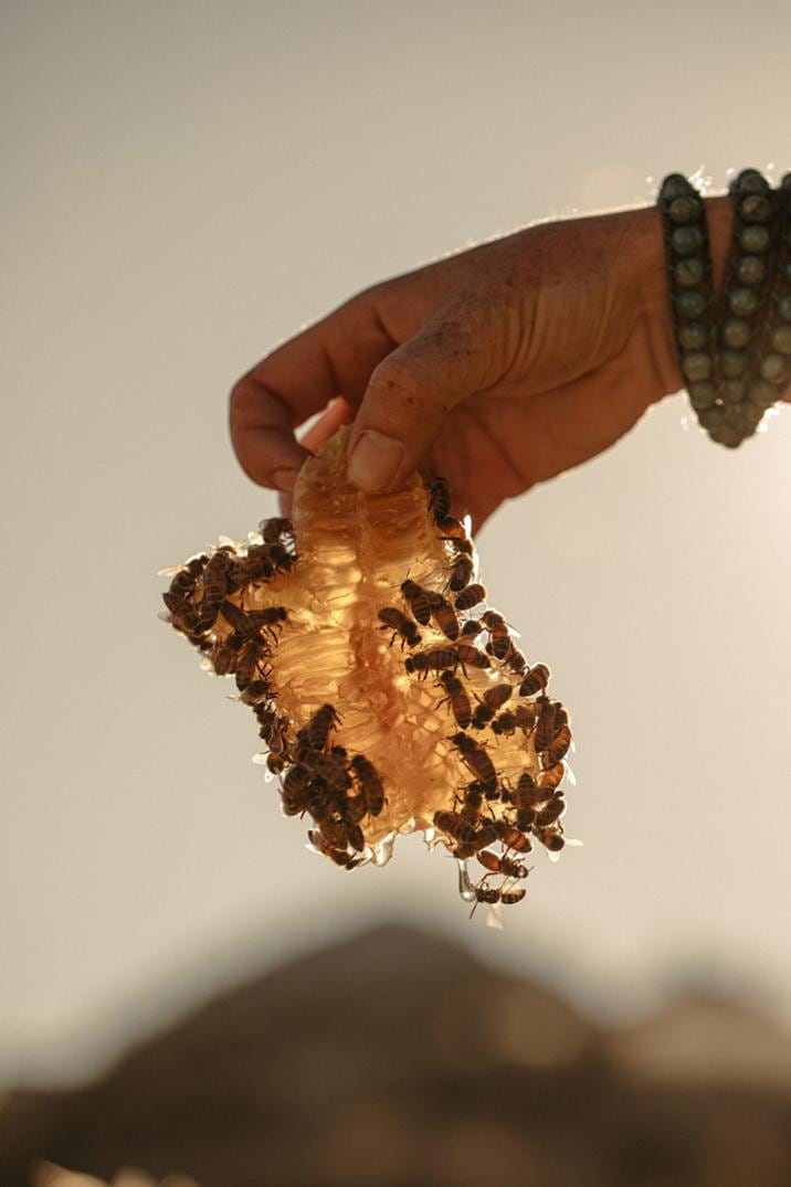 Location Image for Organic Energy Chews